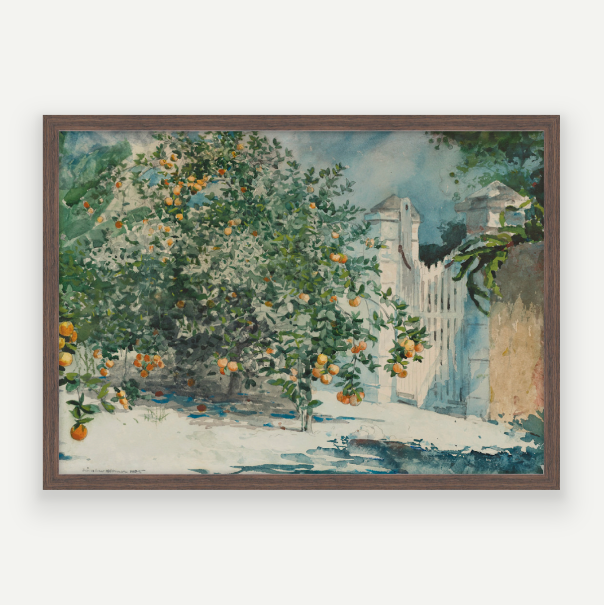 Orange Grove