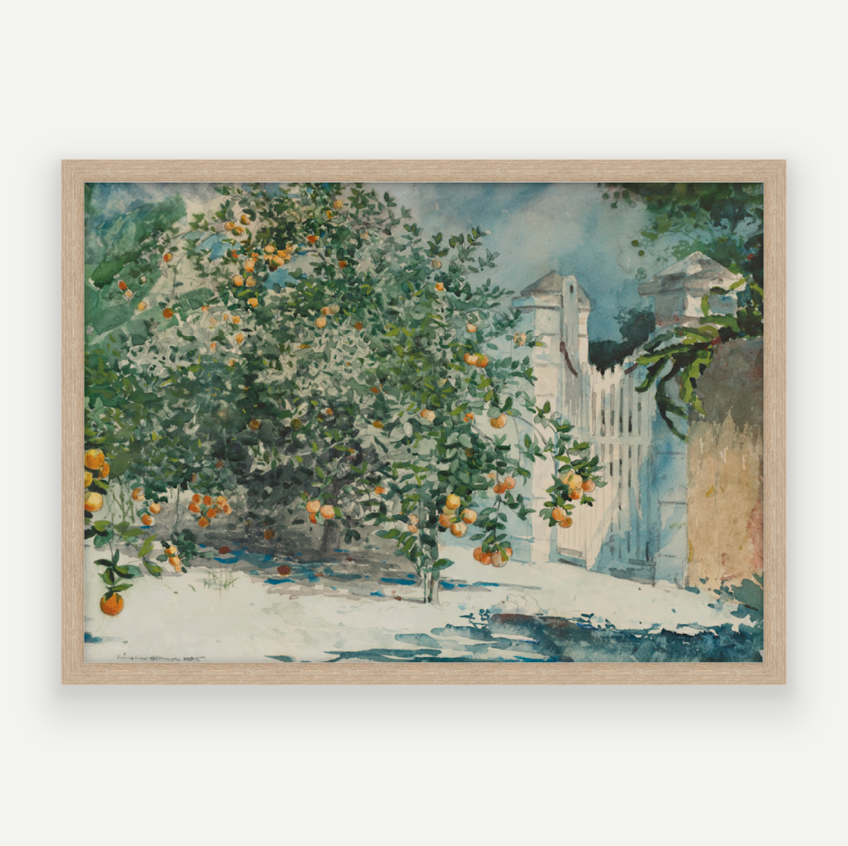 Orange Grove
