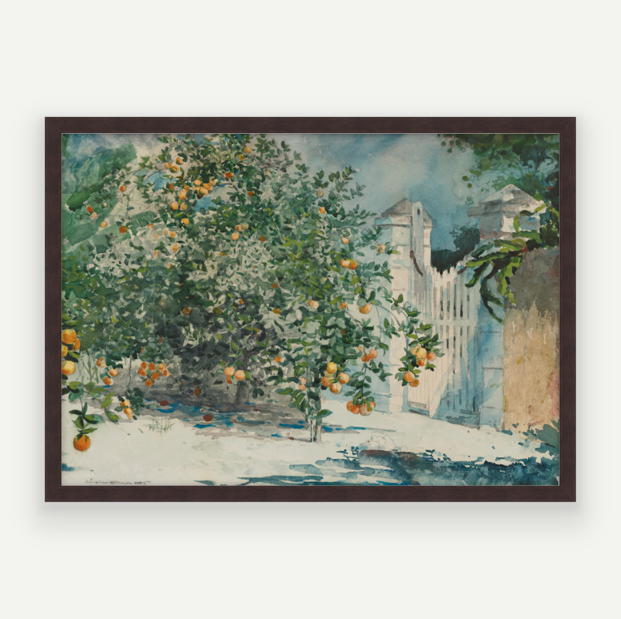Orange Grove