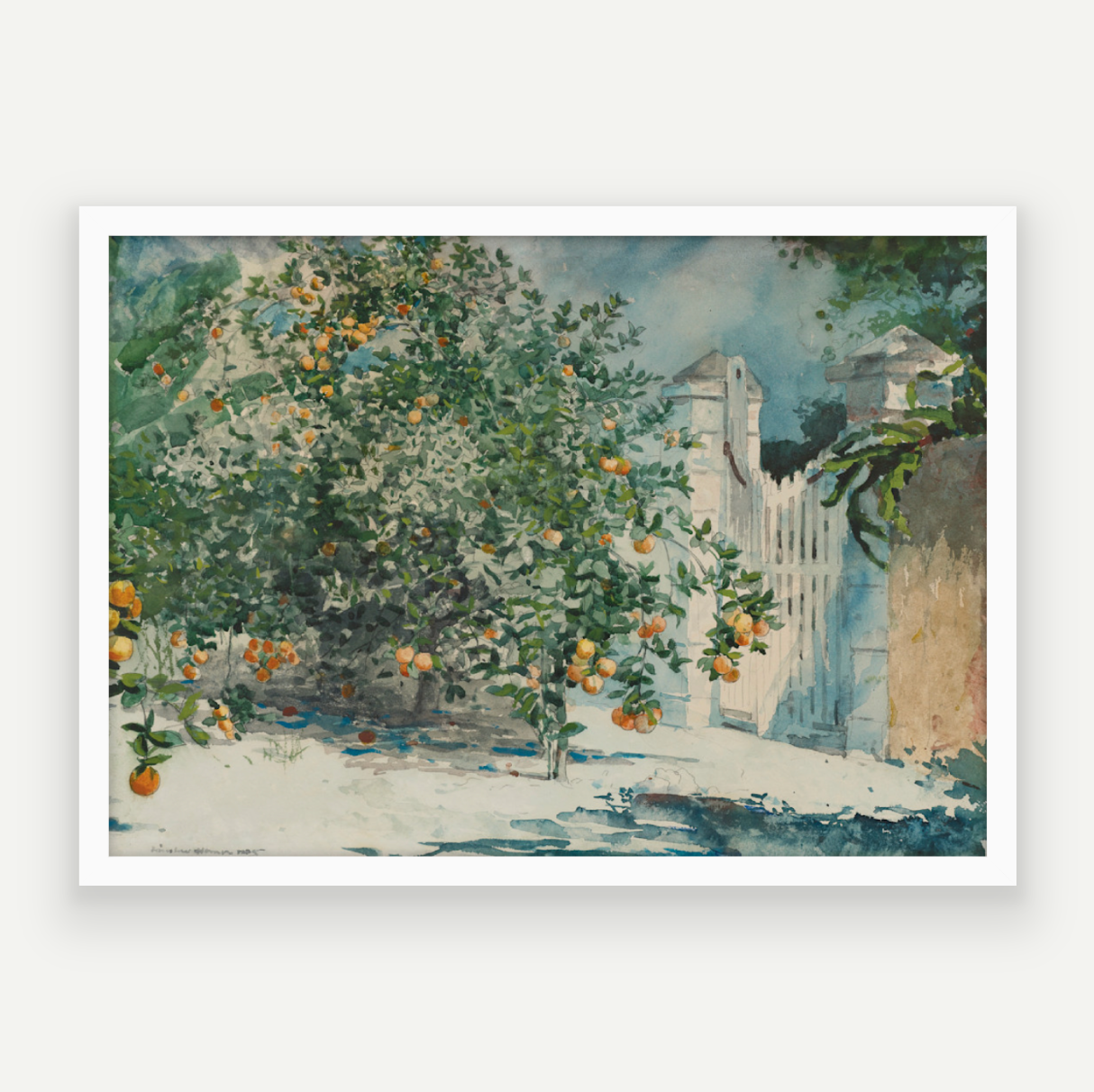 Orange Grove