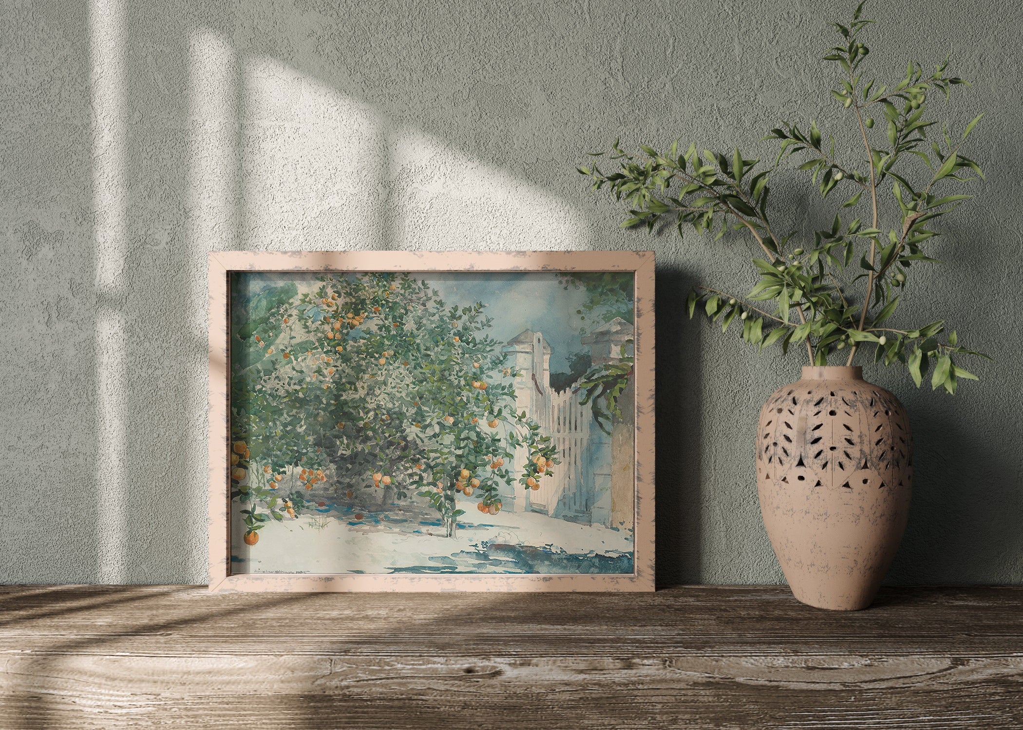 Orange Grove