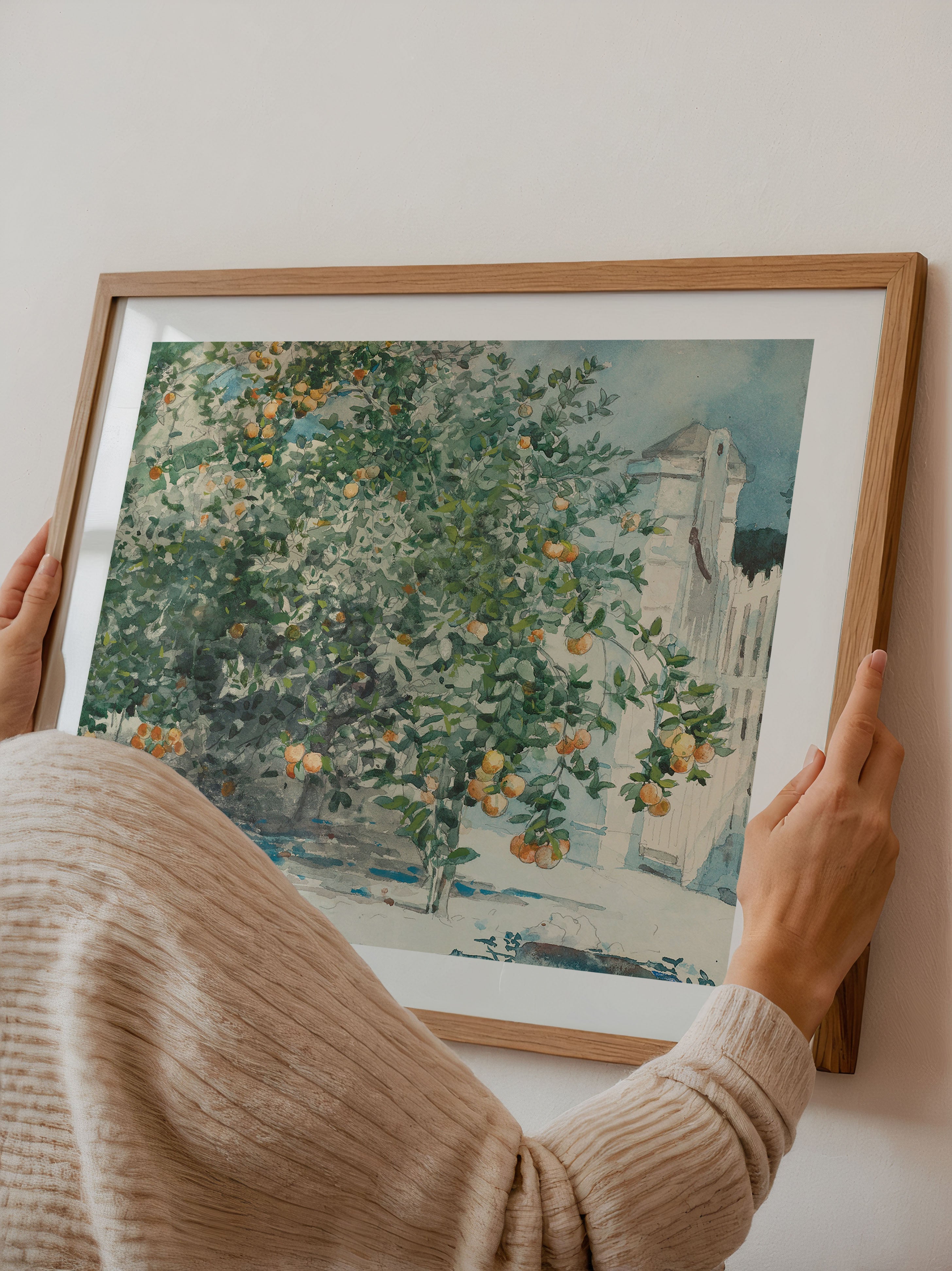 Orange Grove