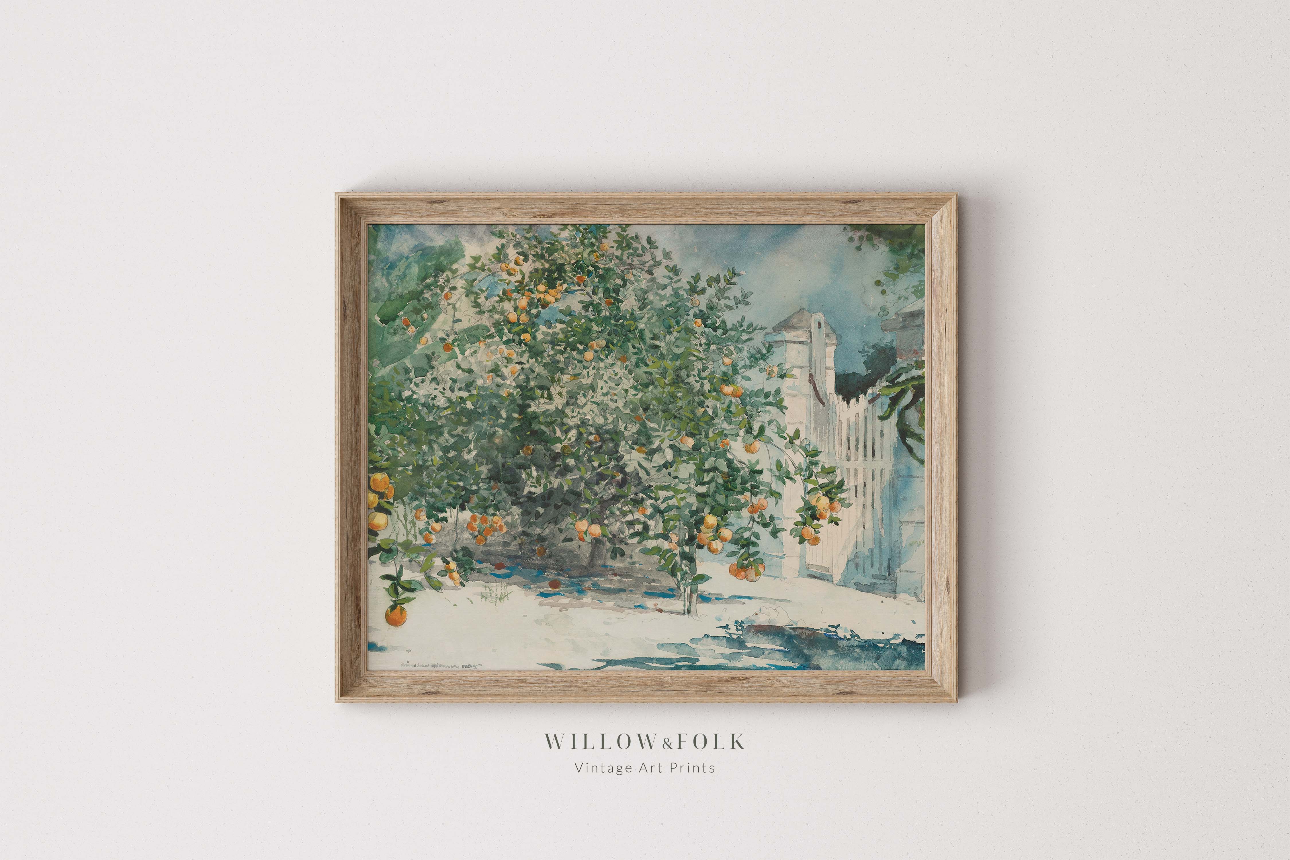 Orange Grove