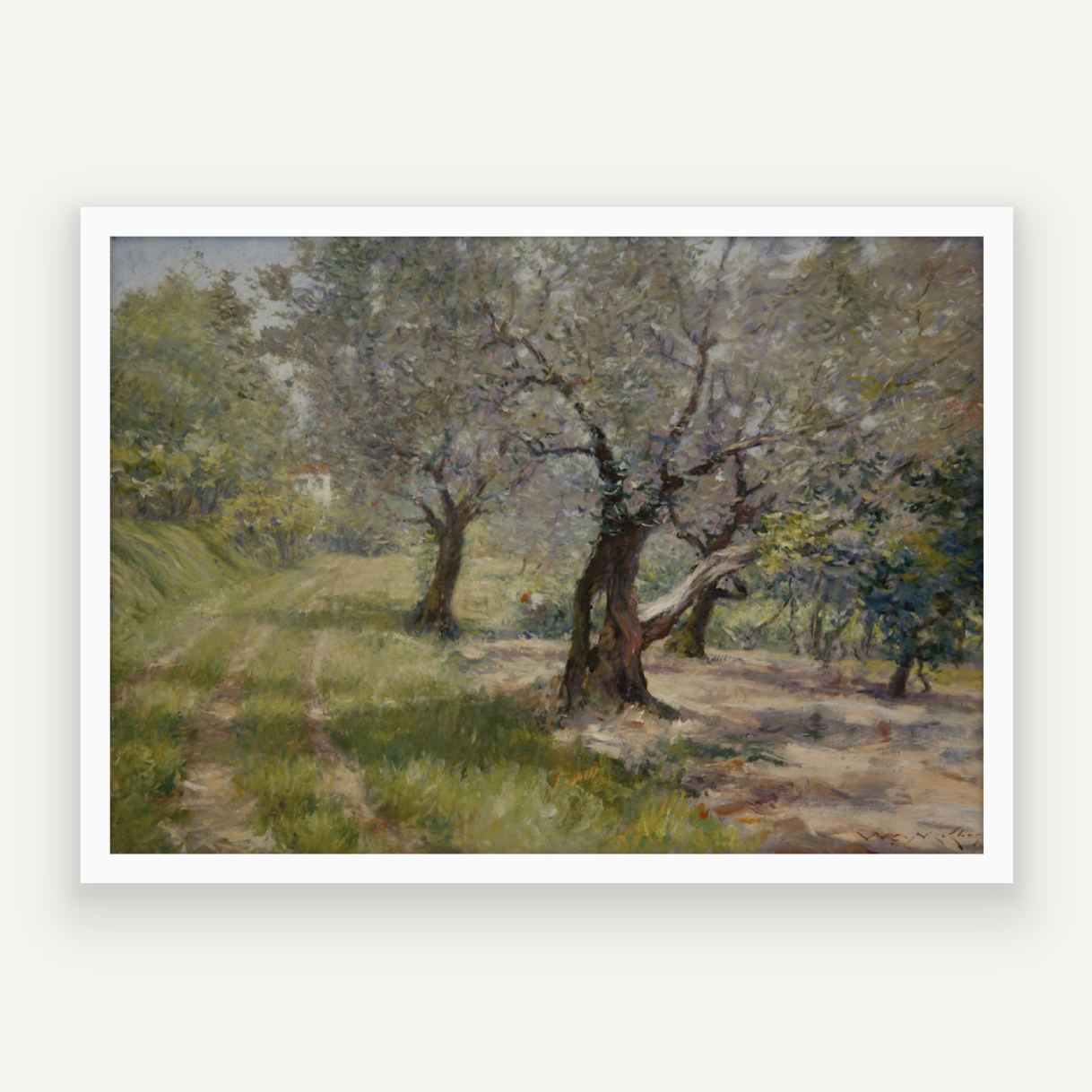 Orchard