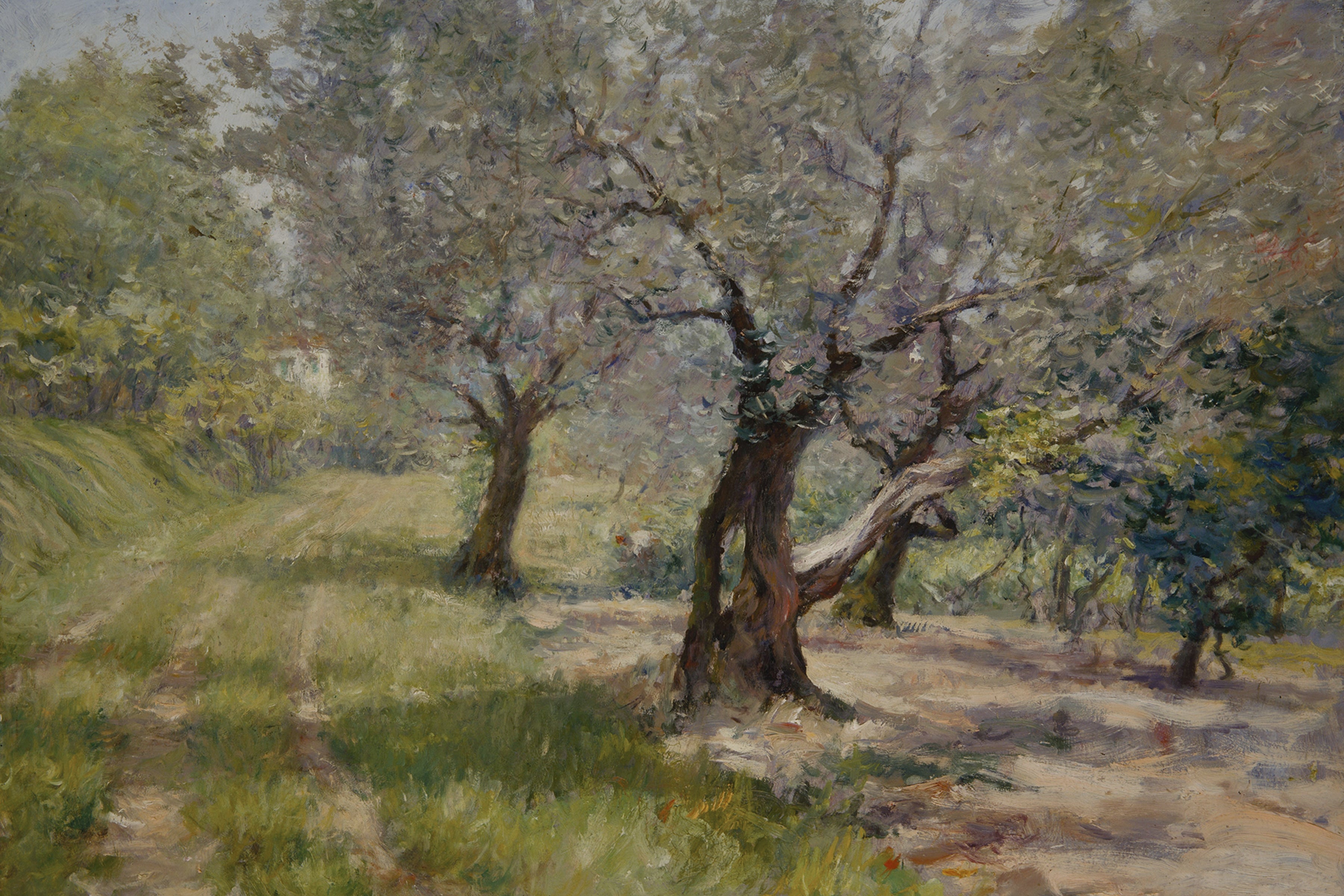 Orchard