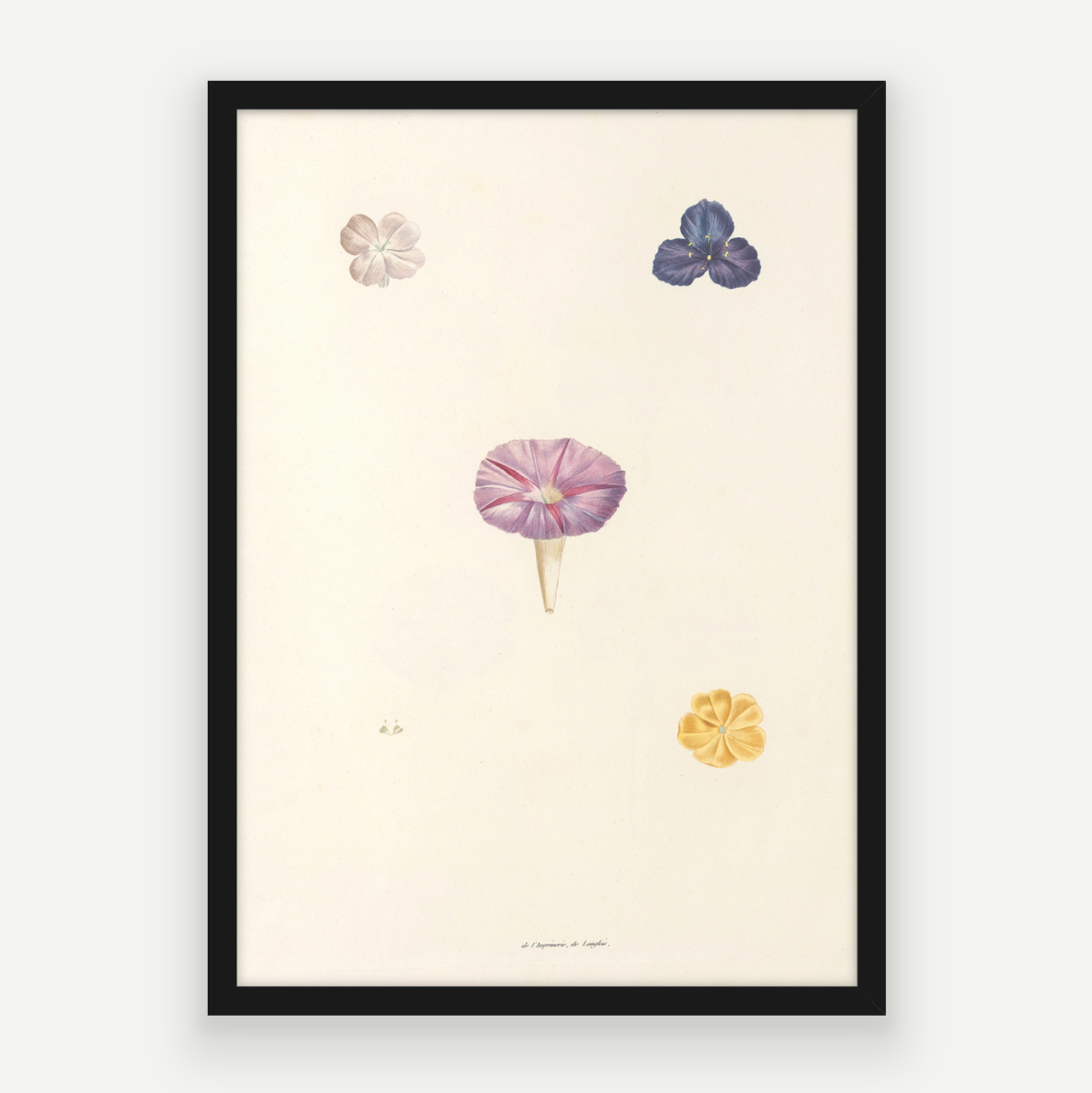 Petals Pair