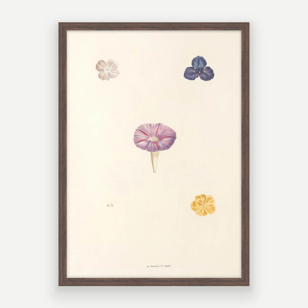 Petals Pair