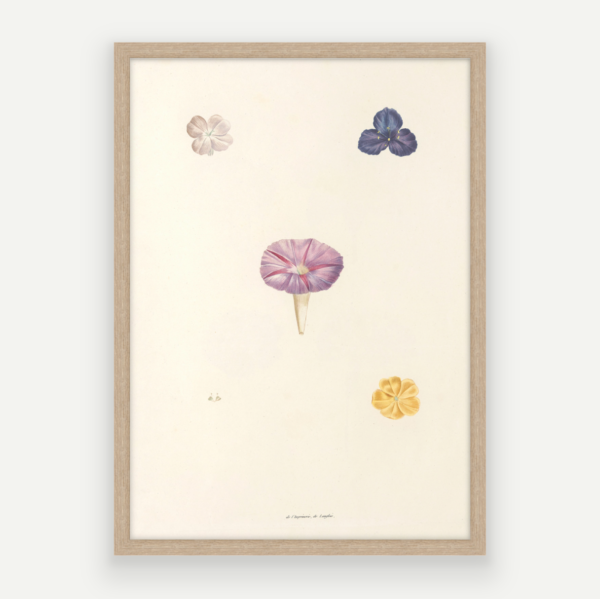 Petals Pair
