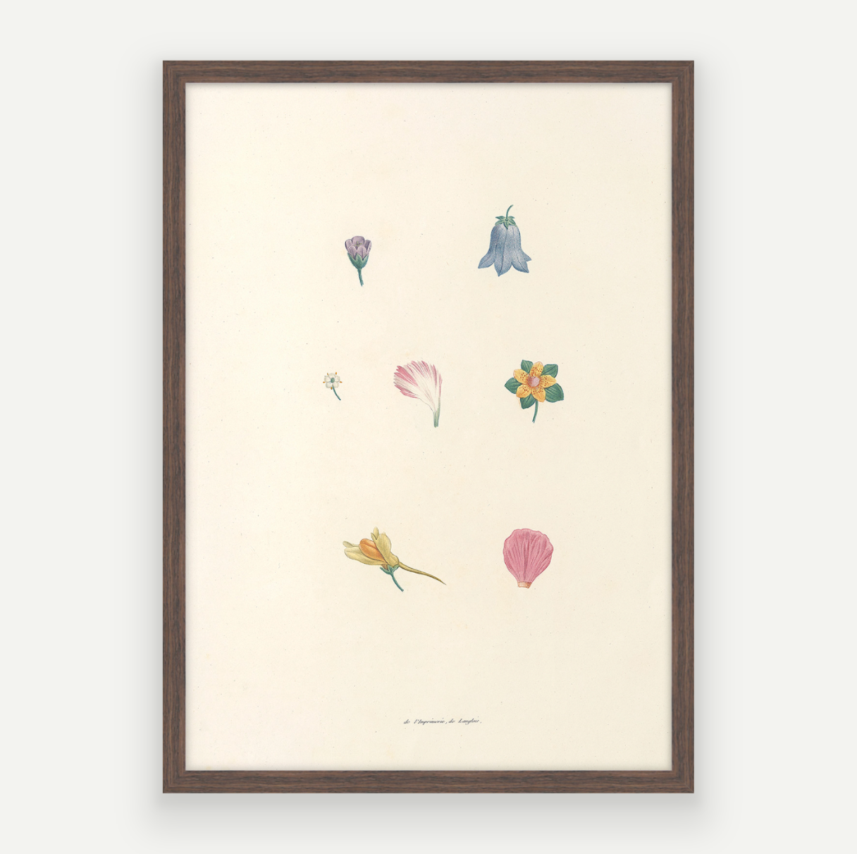 Petals Pair