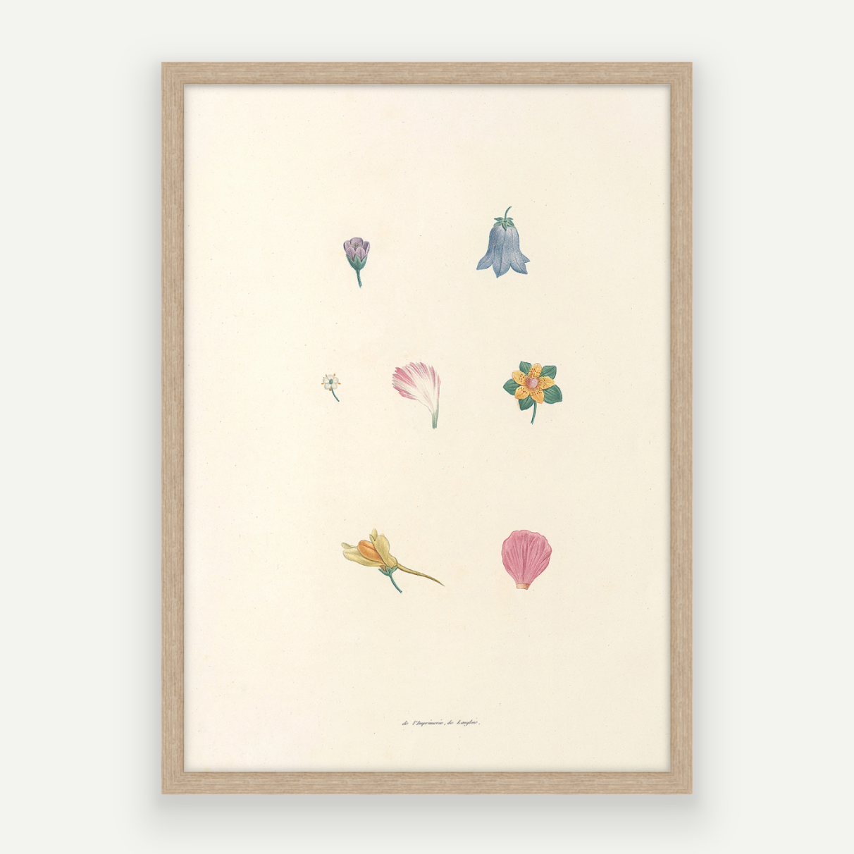 Petals Pair