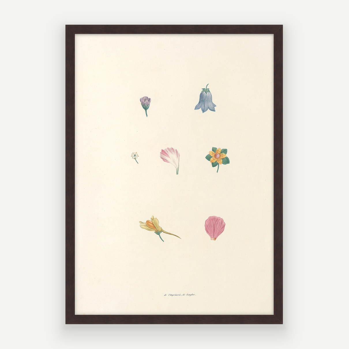 Petals Pair