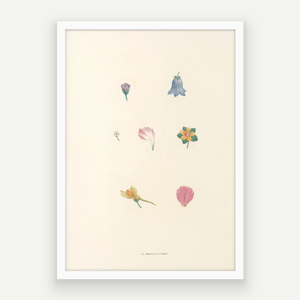 Petals Pair