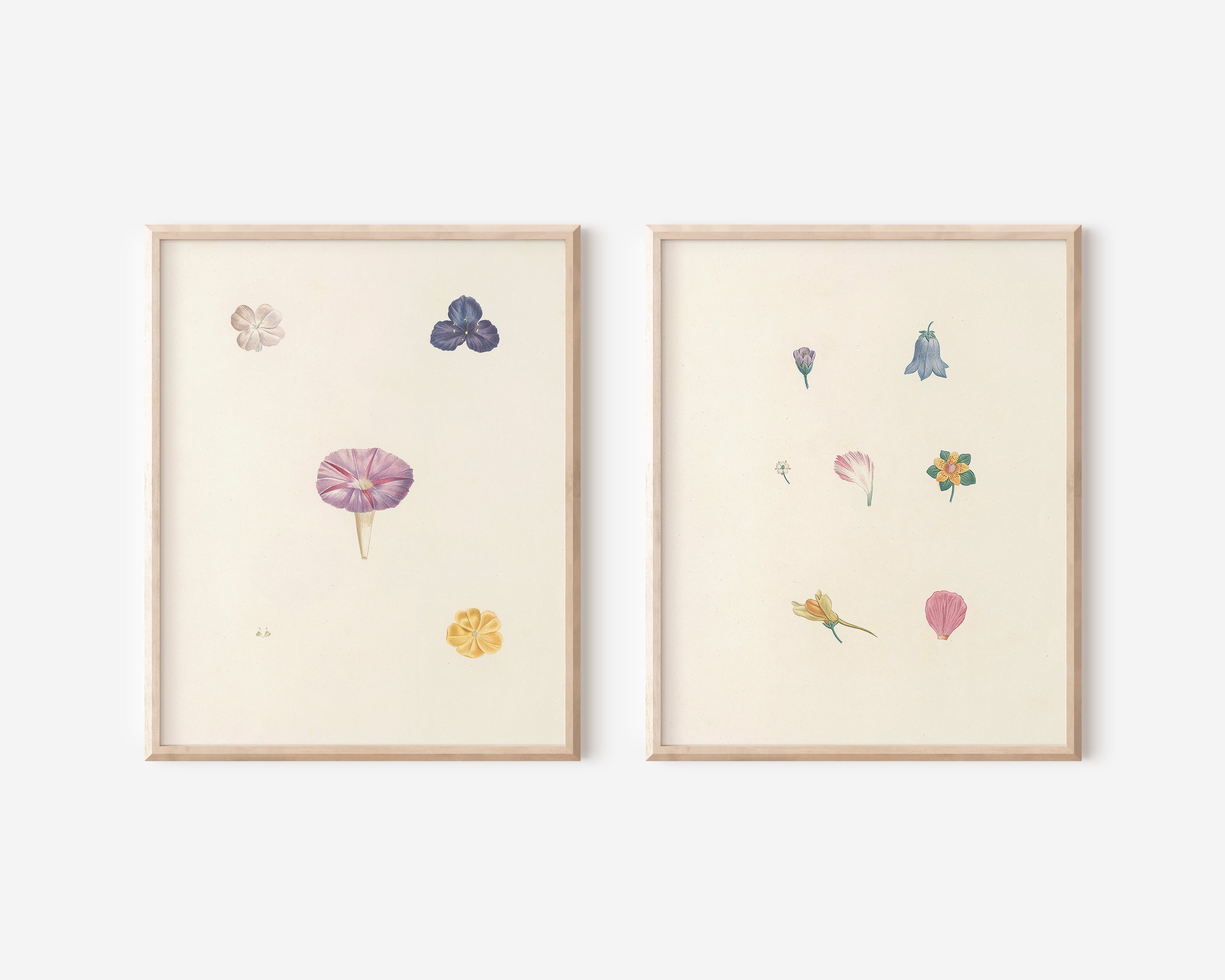 Petals Pair