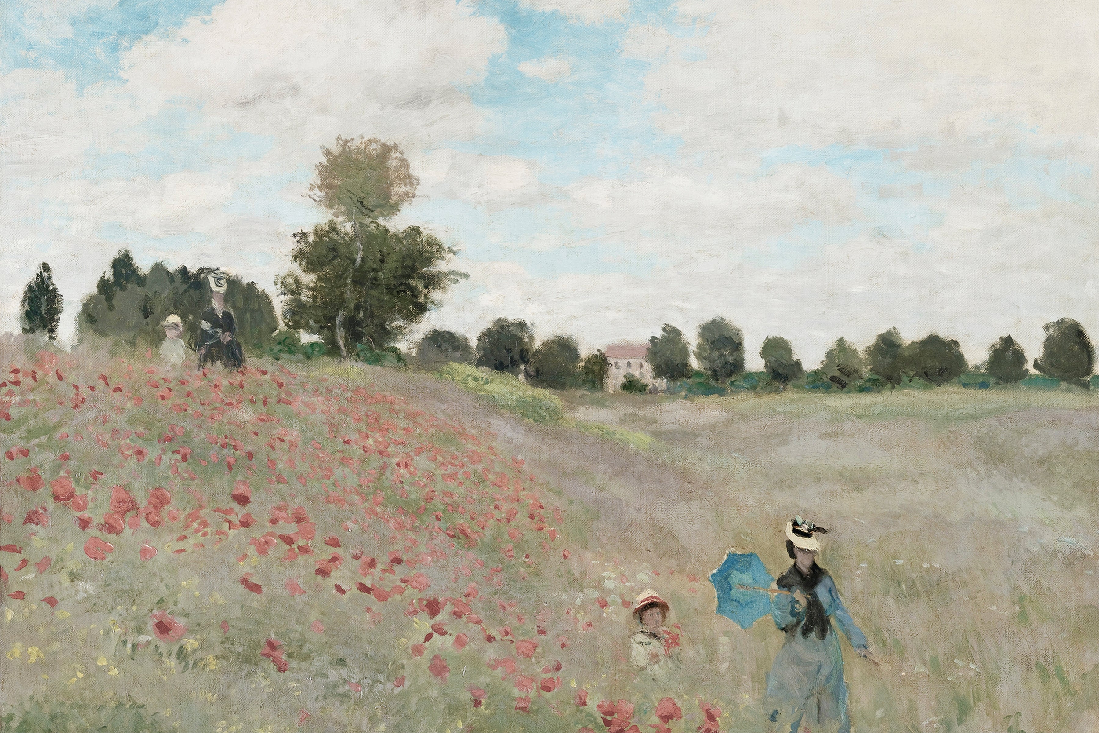 Path of Poppies