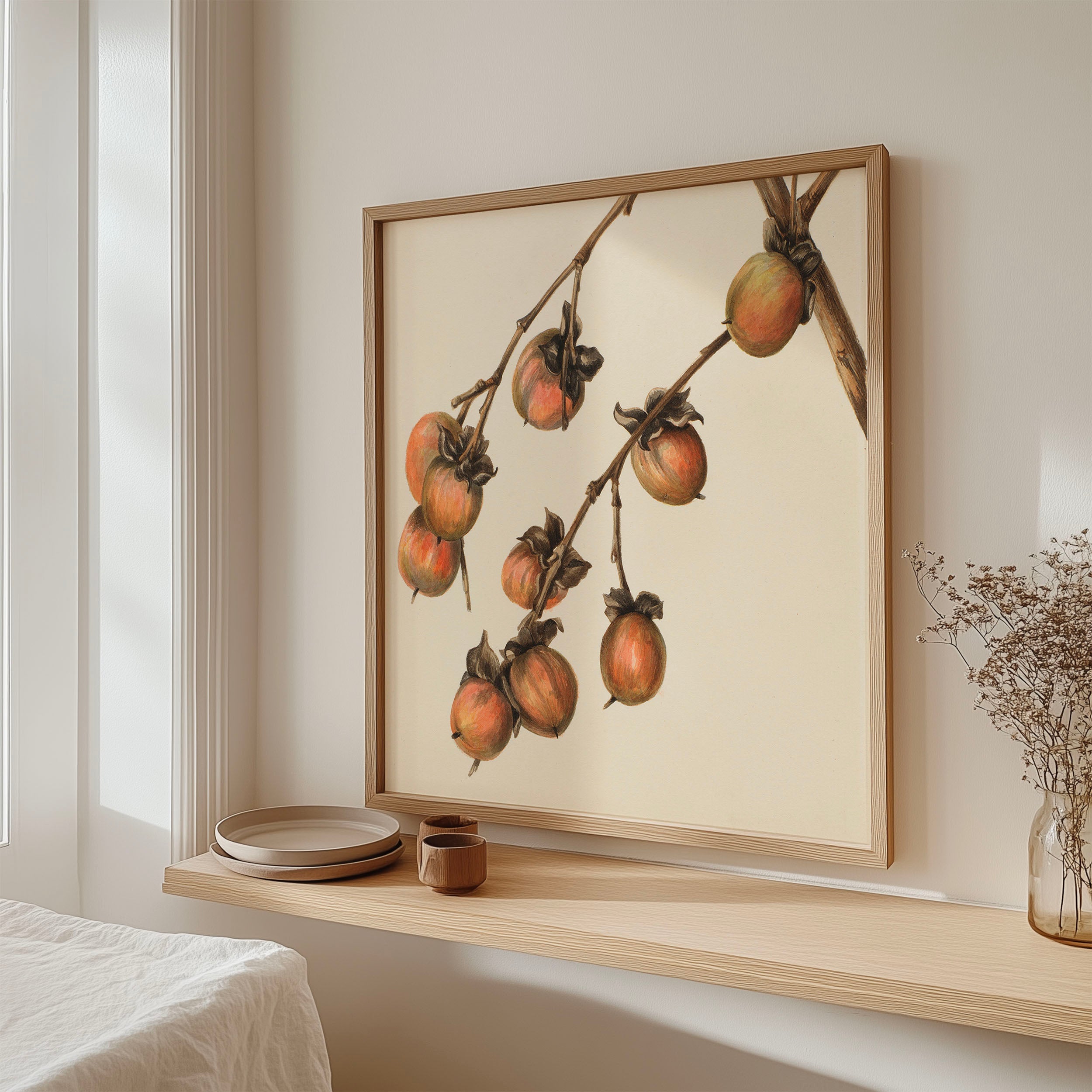Persimmon