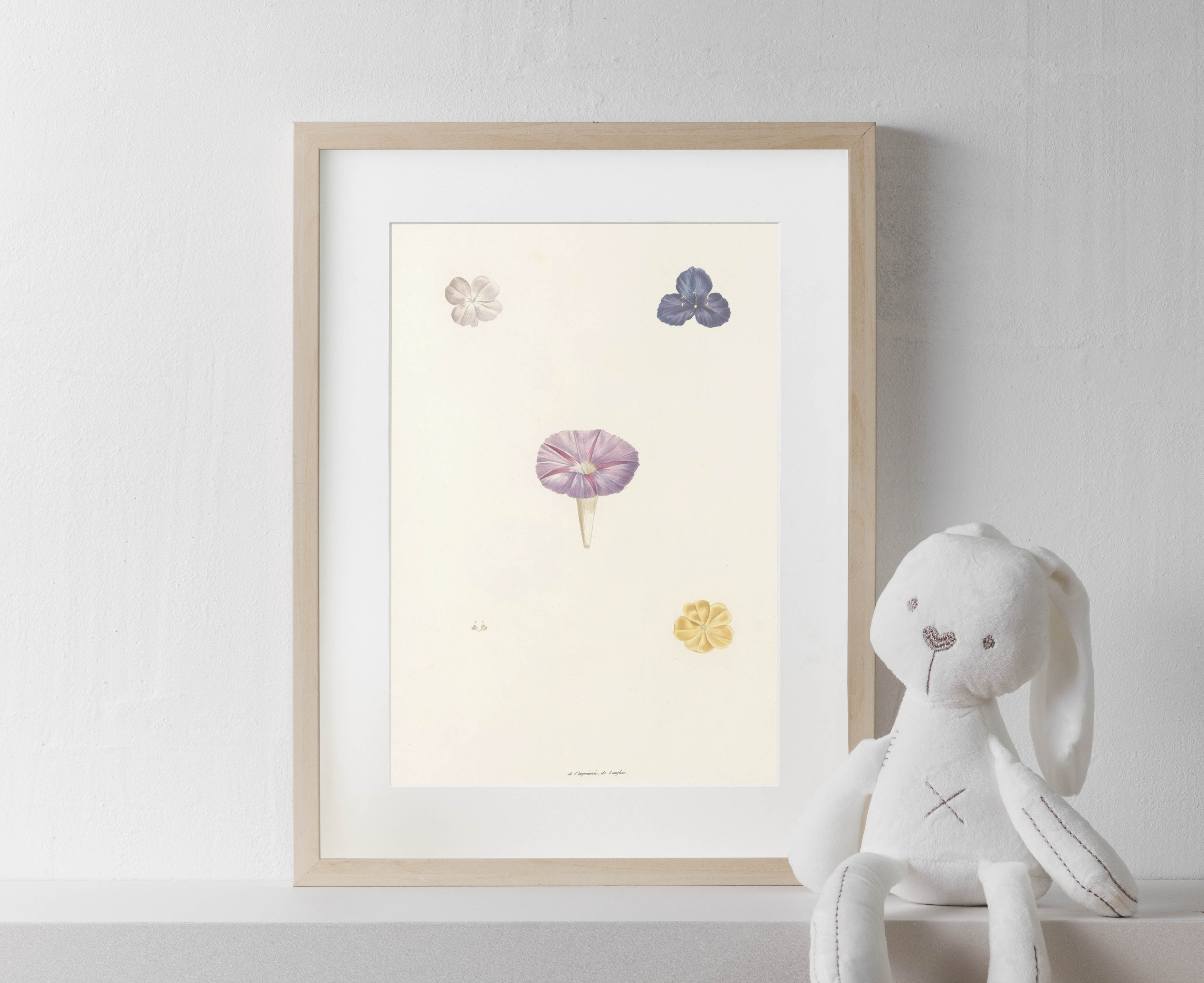 Petals I