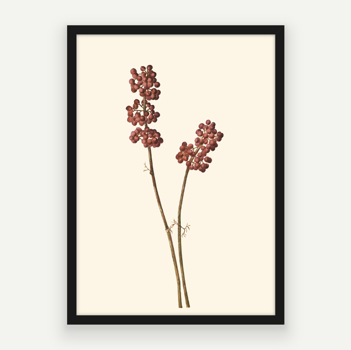 Red Berries
