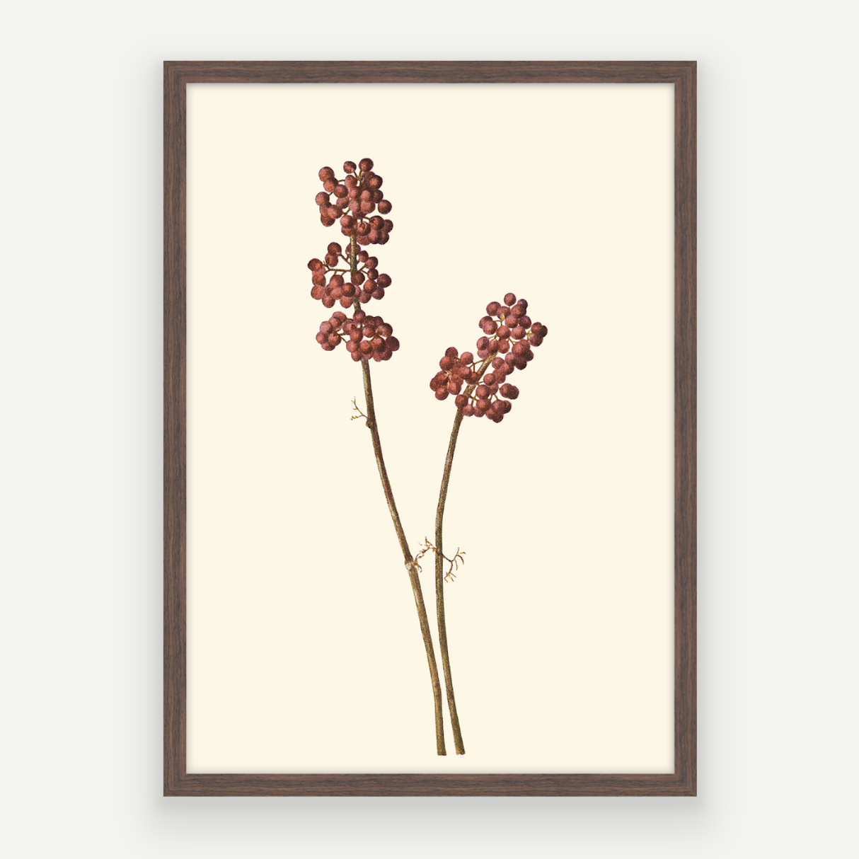 Red Berries
