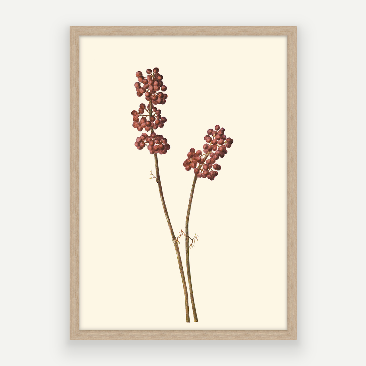 Red Berries