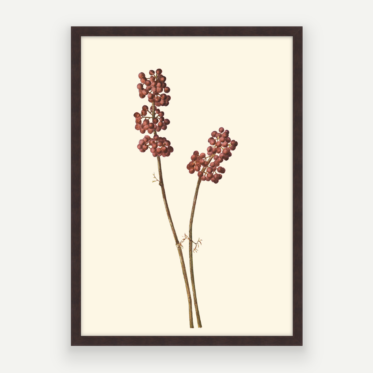 Red Berries