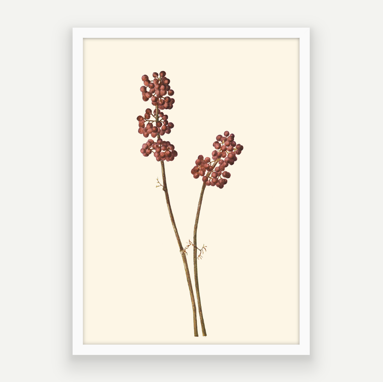 Red Berries