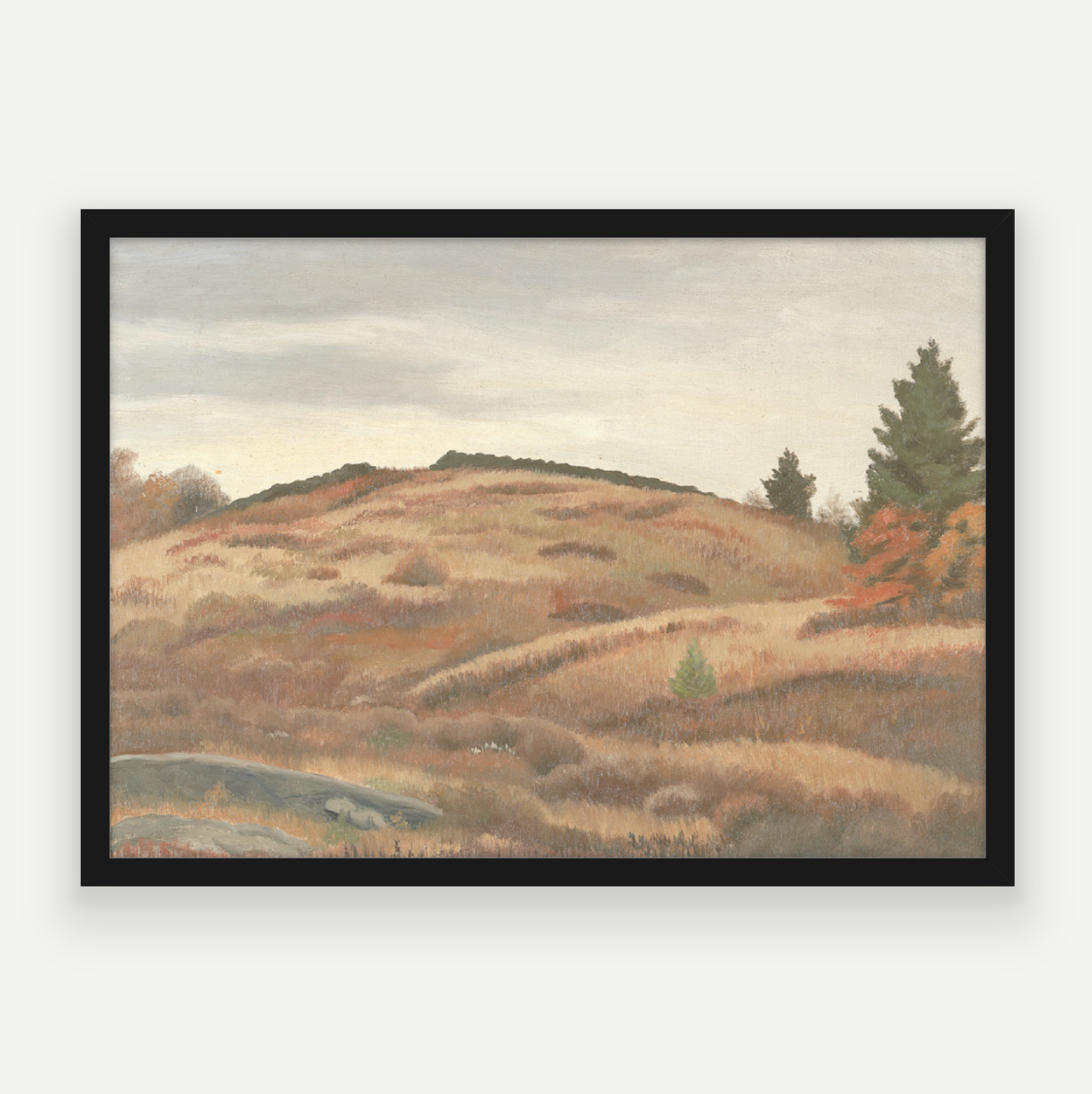Rolling Hills