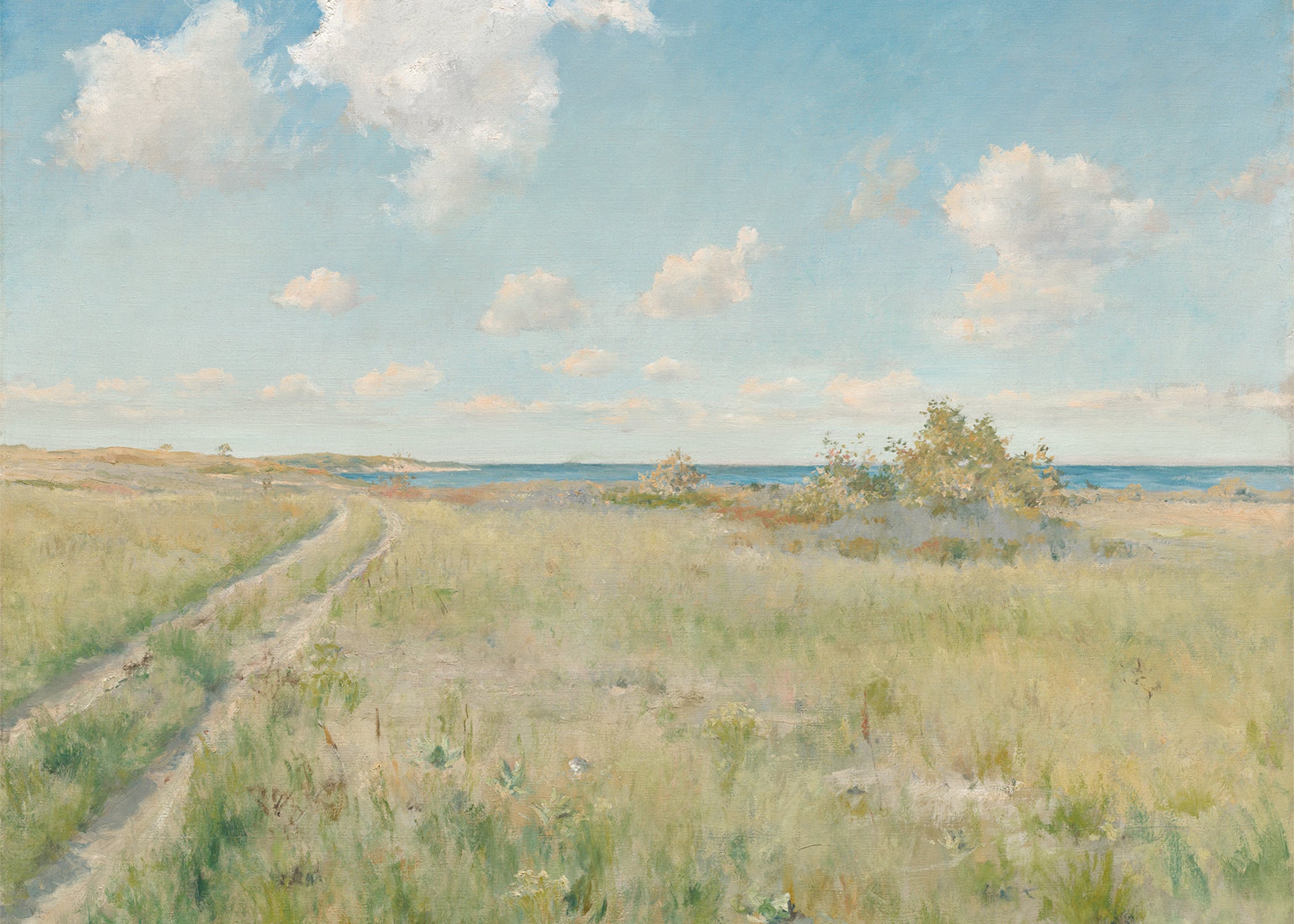 Road to the Sea