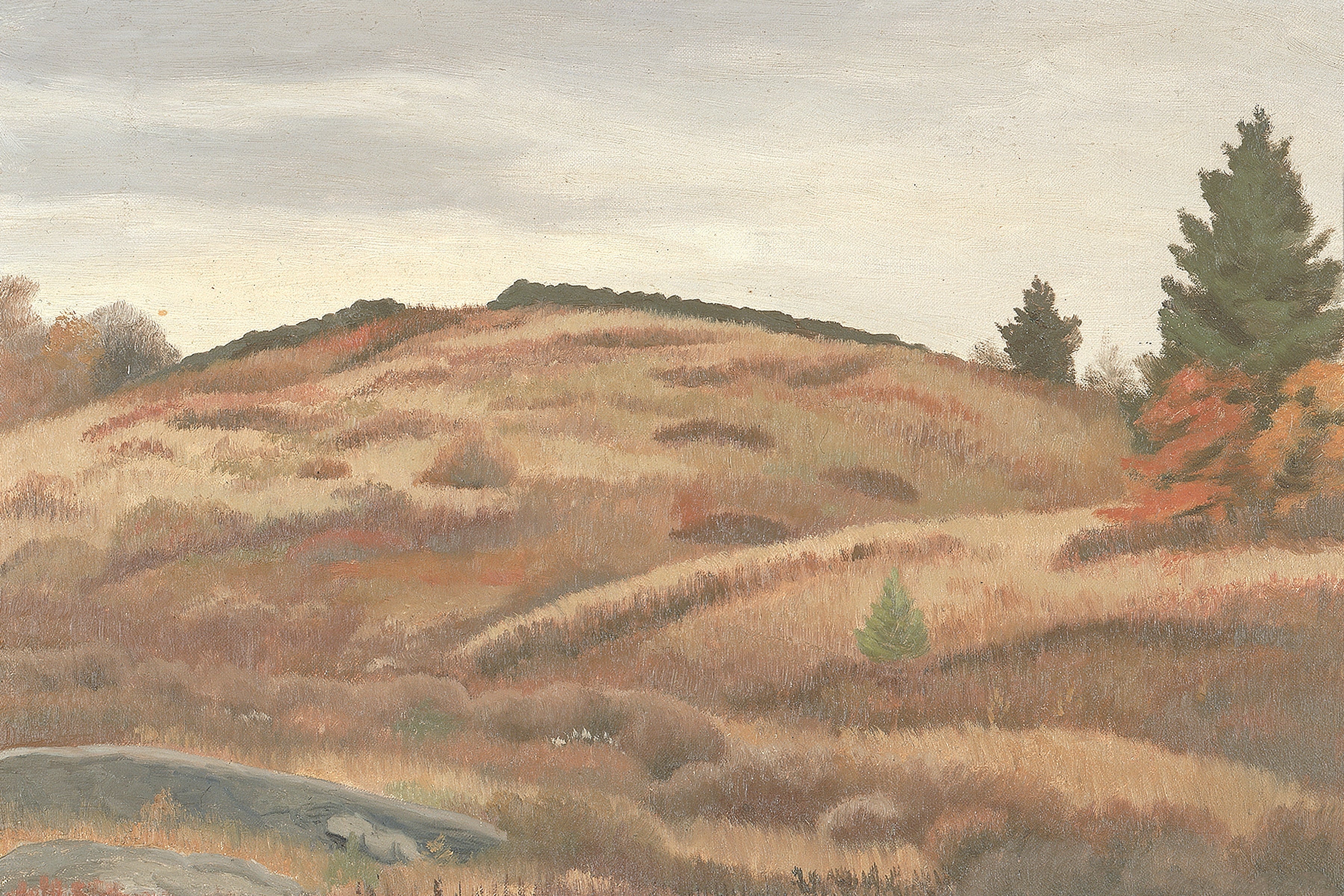 Rolling Hills
