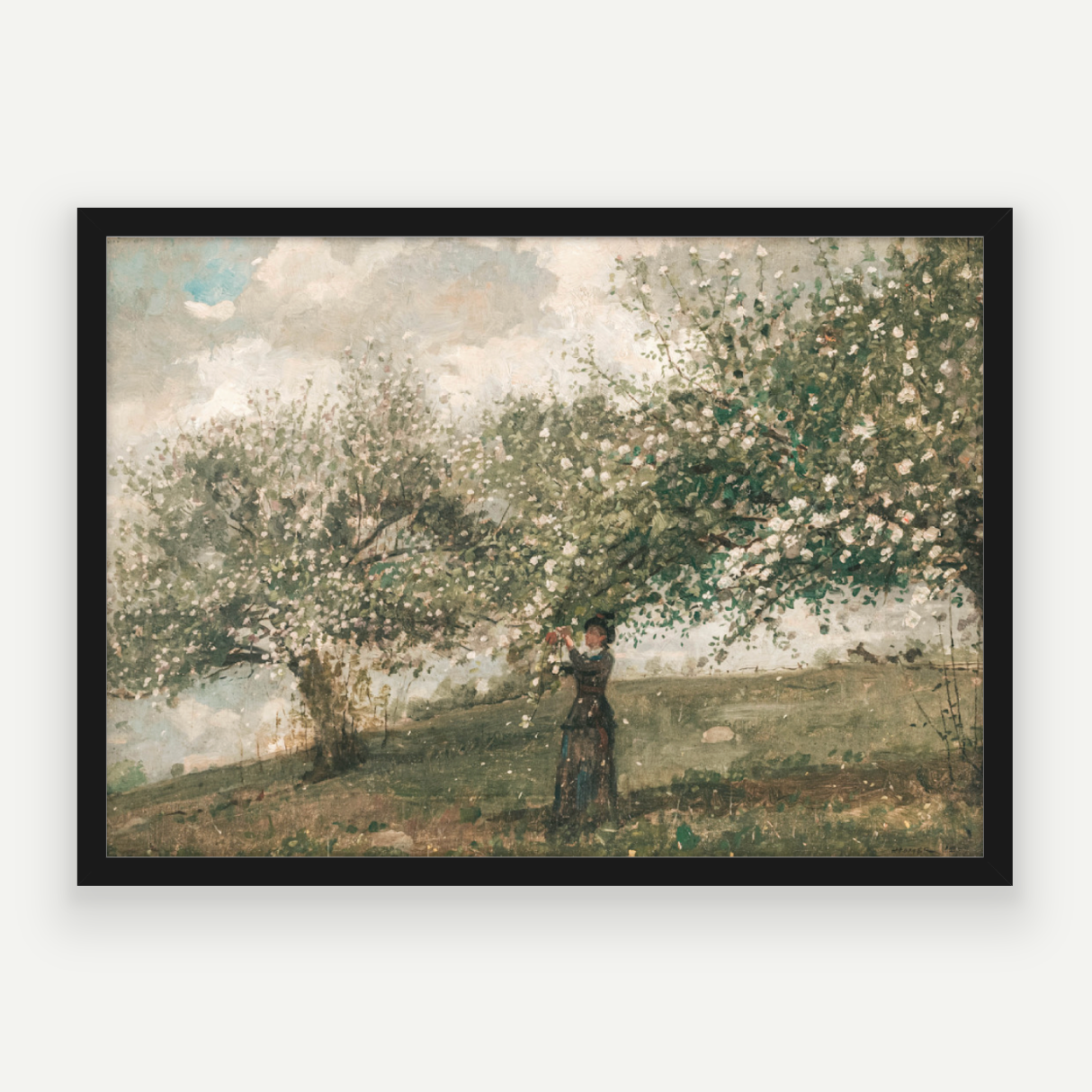Spring Blossom