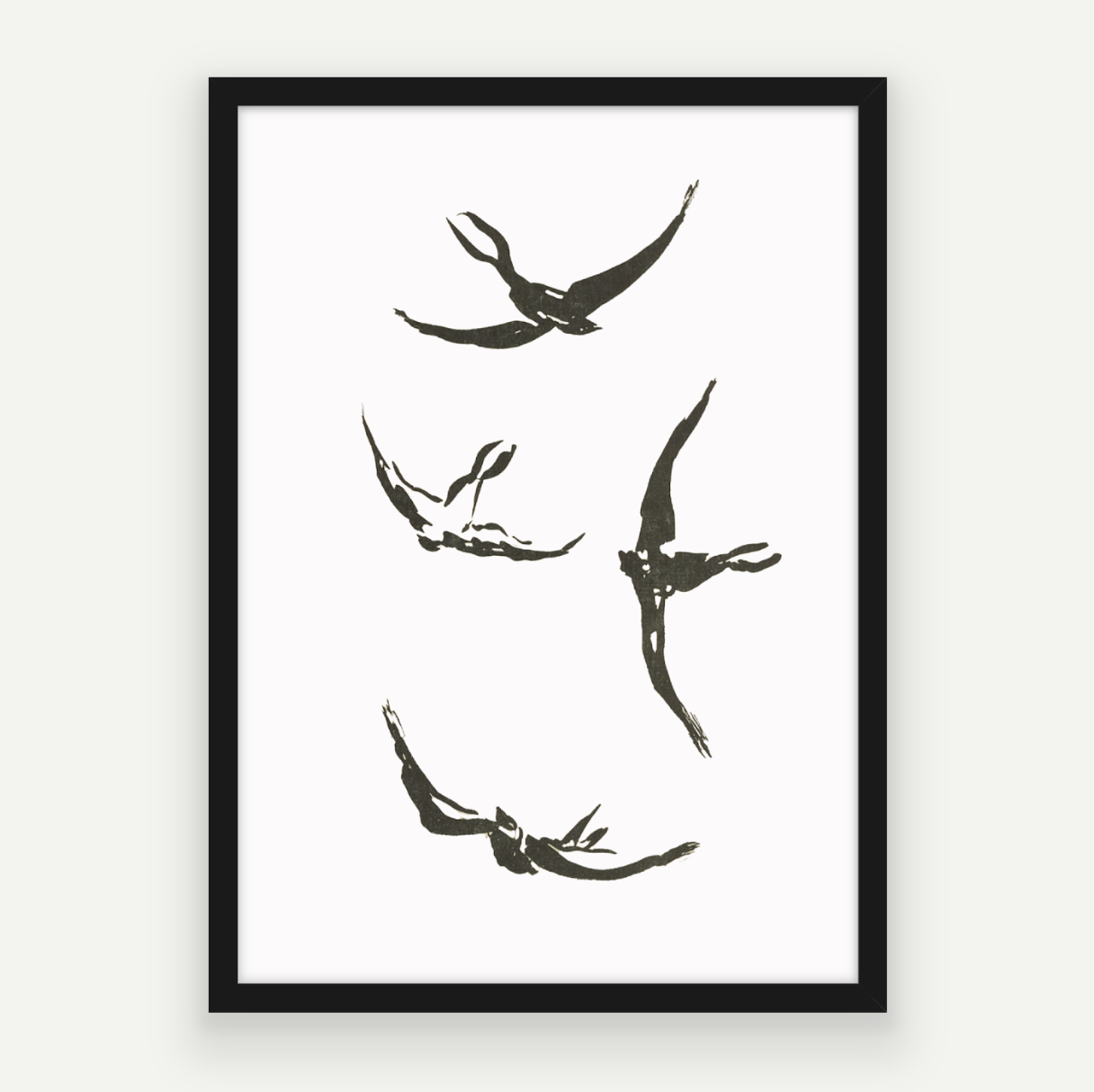 Soaring Birds