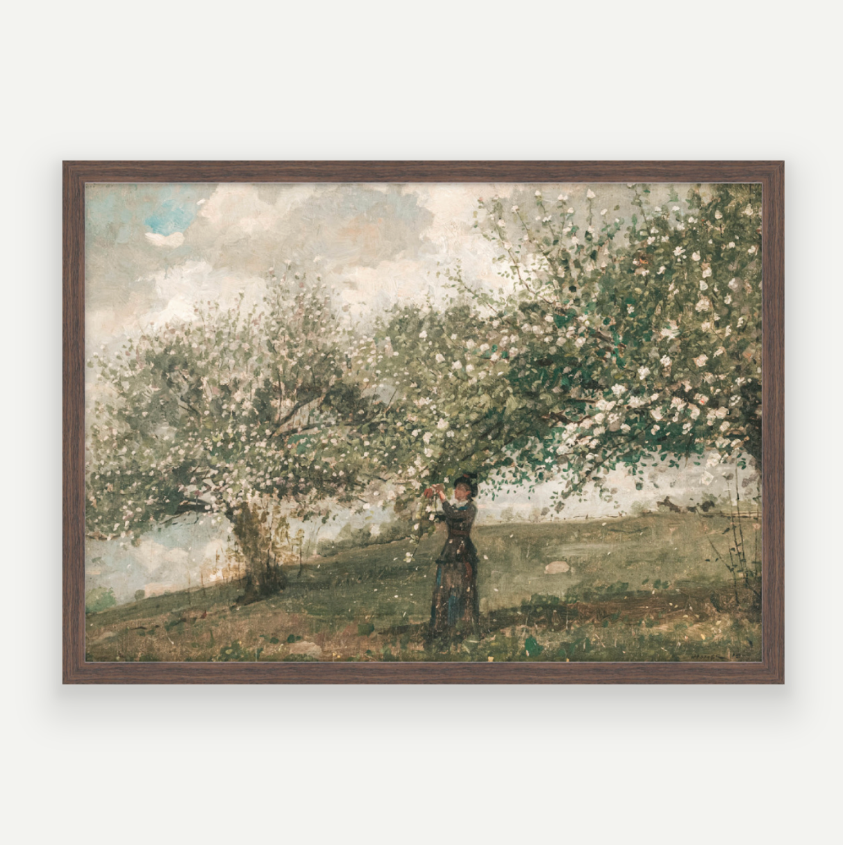 Spring Blossom