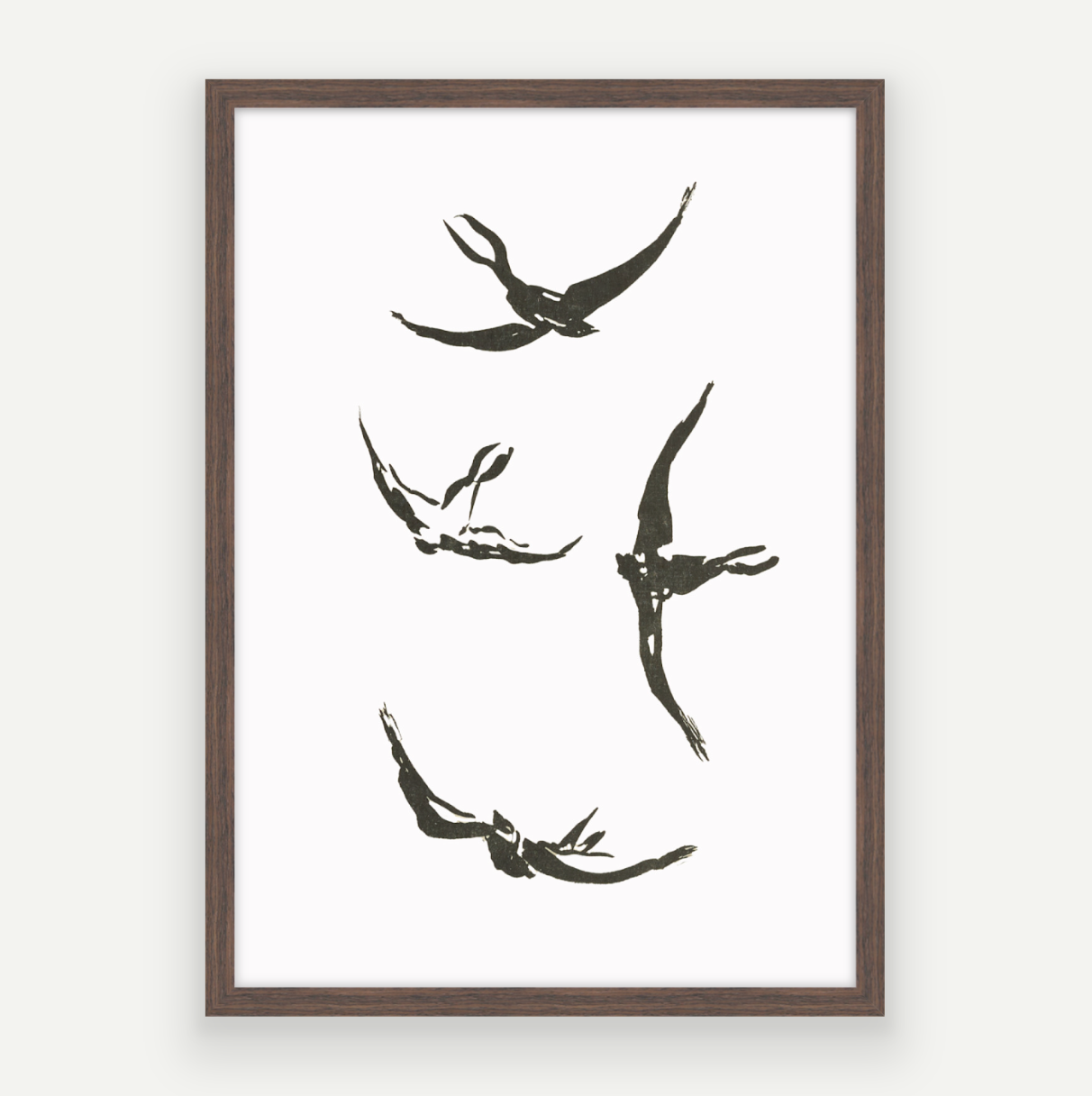 Soaring Birds