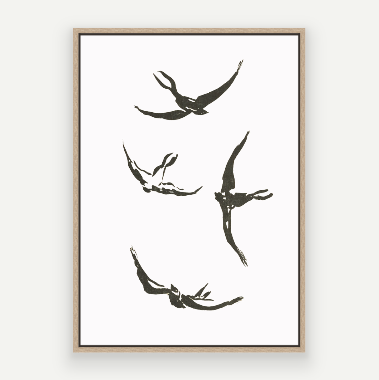 Soaring Birds