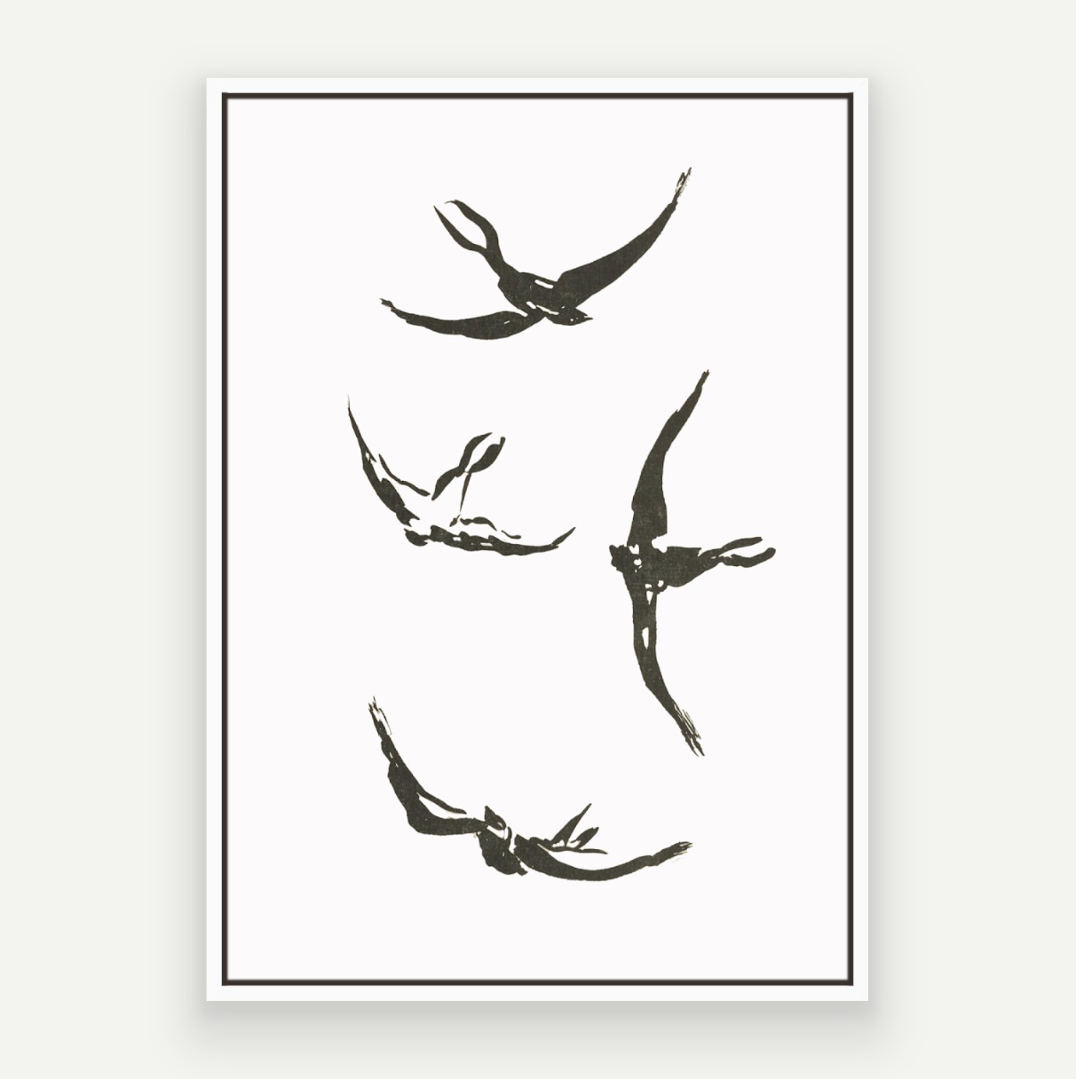 Soaring Birds