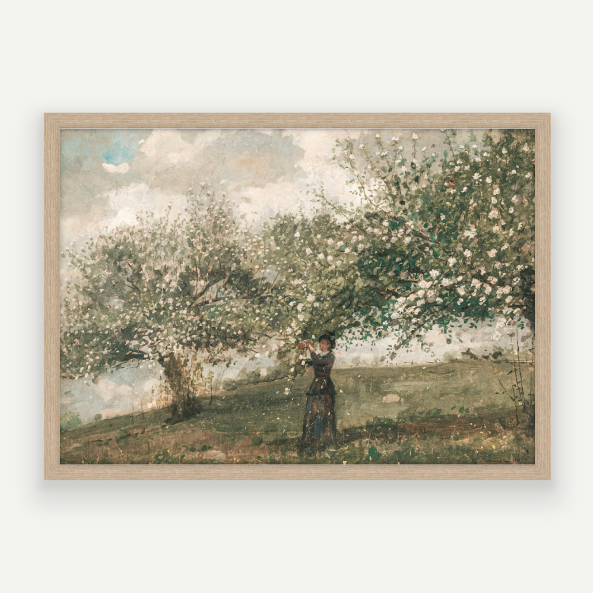 Spring Blossom
