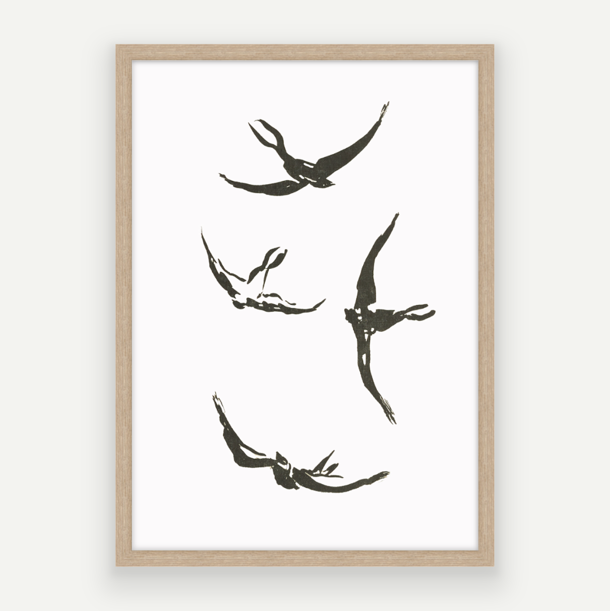 Soaring Birds