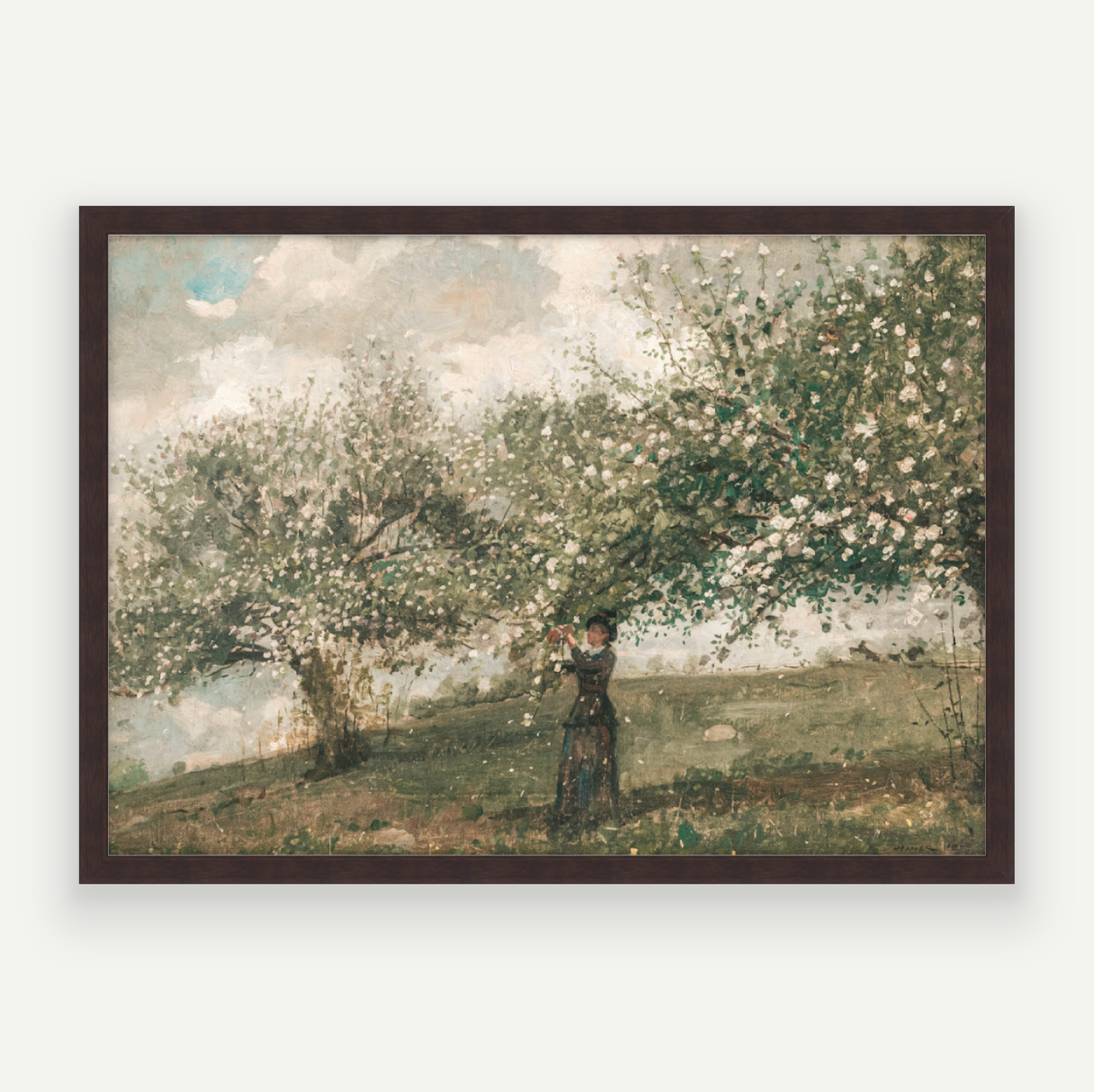 Spring Blossom