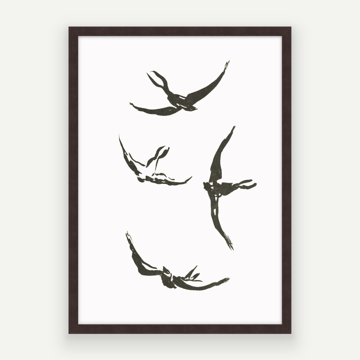 Soaring Birds