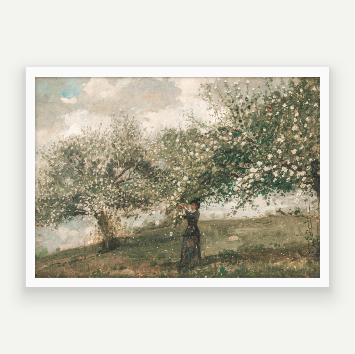 Spring Blossom