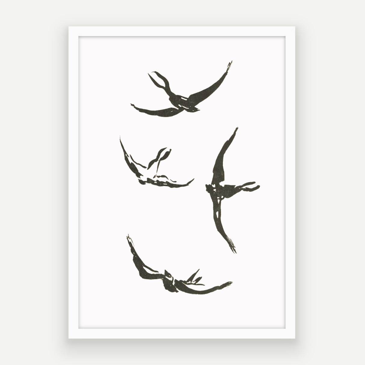 Soaring Birds