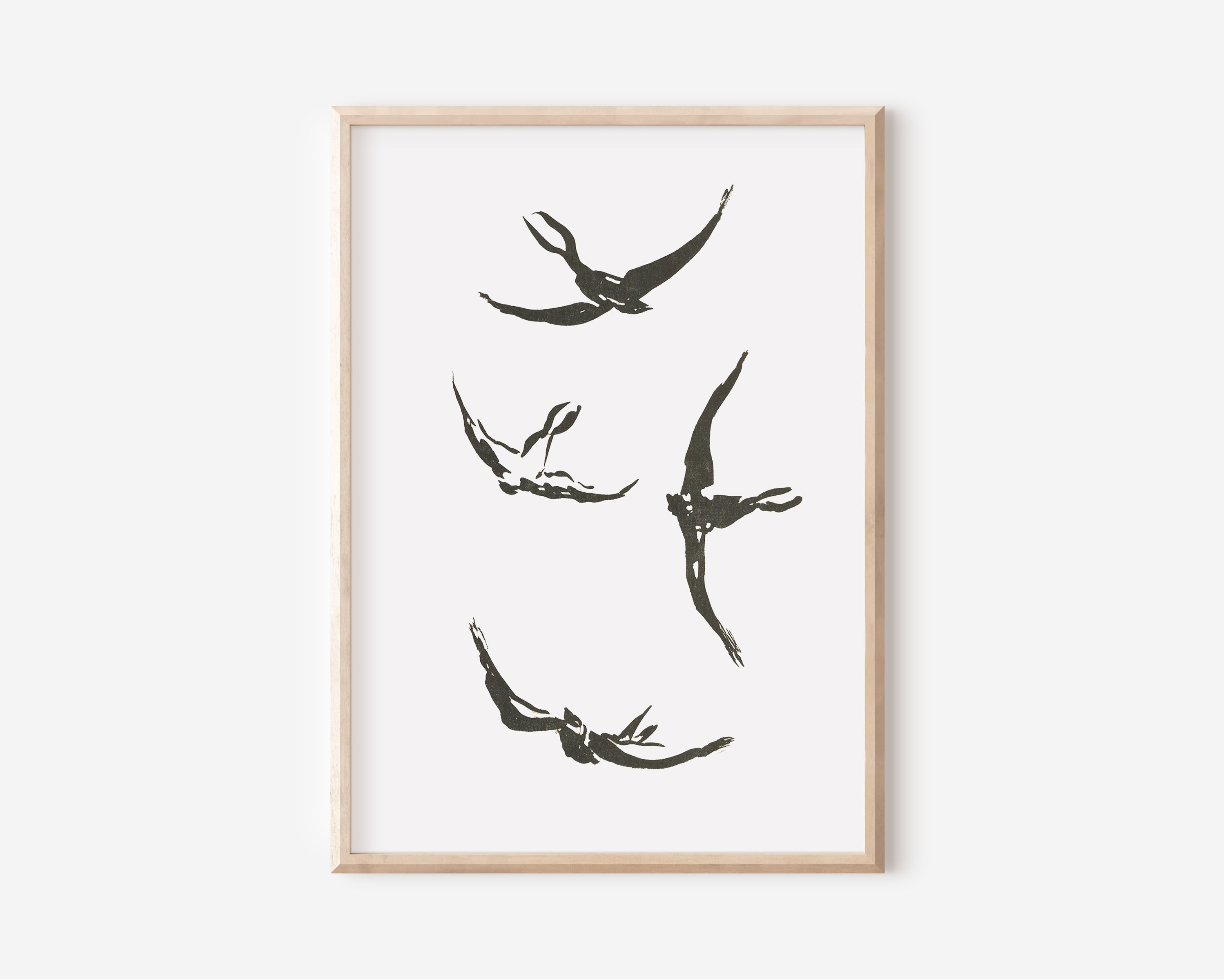 Soaring Birds