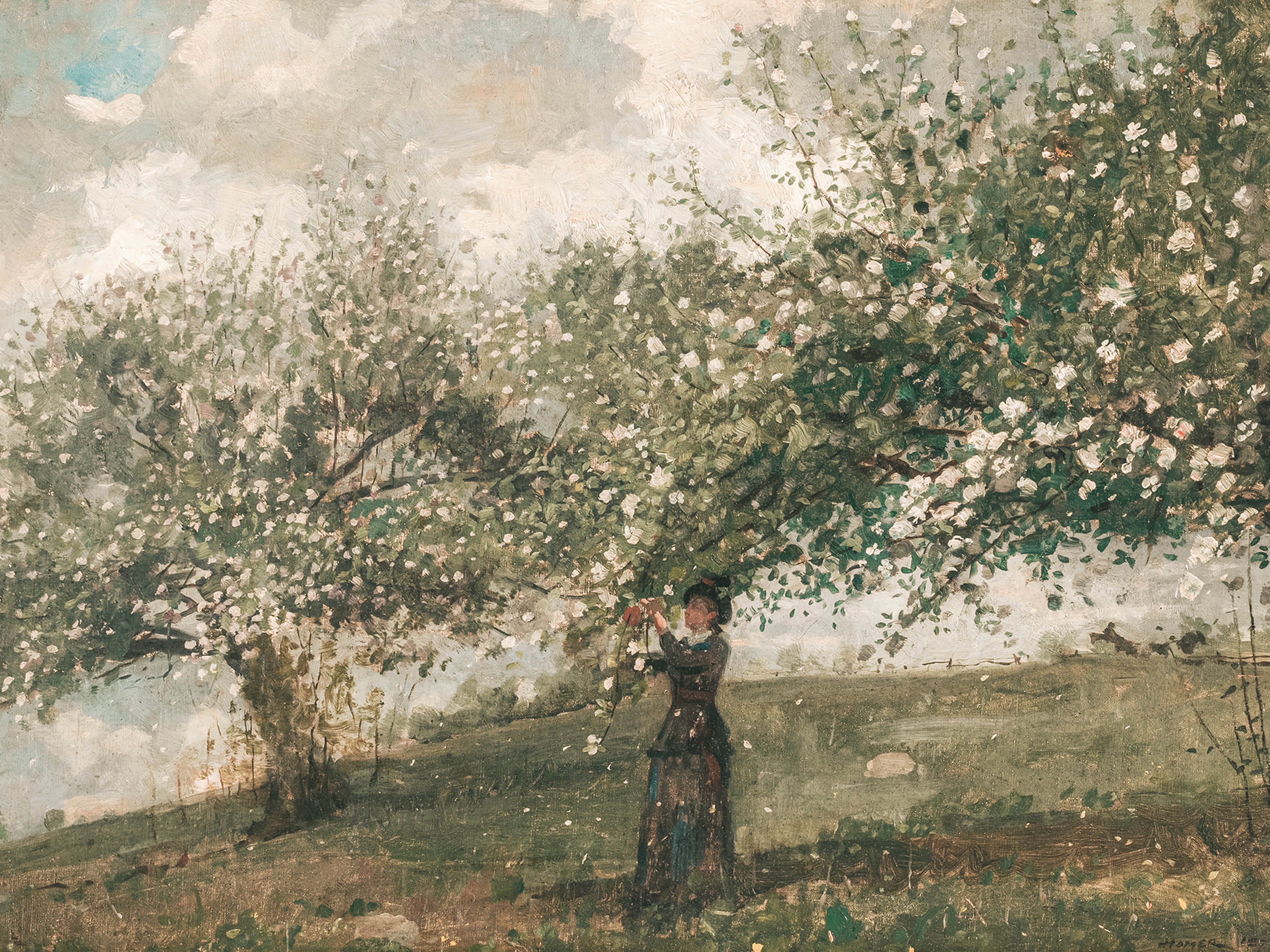Spring Blossom