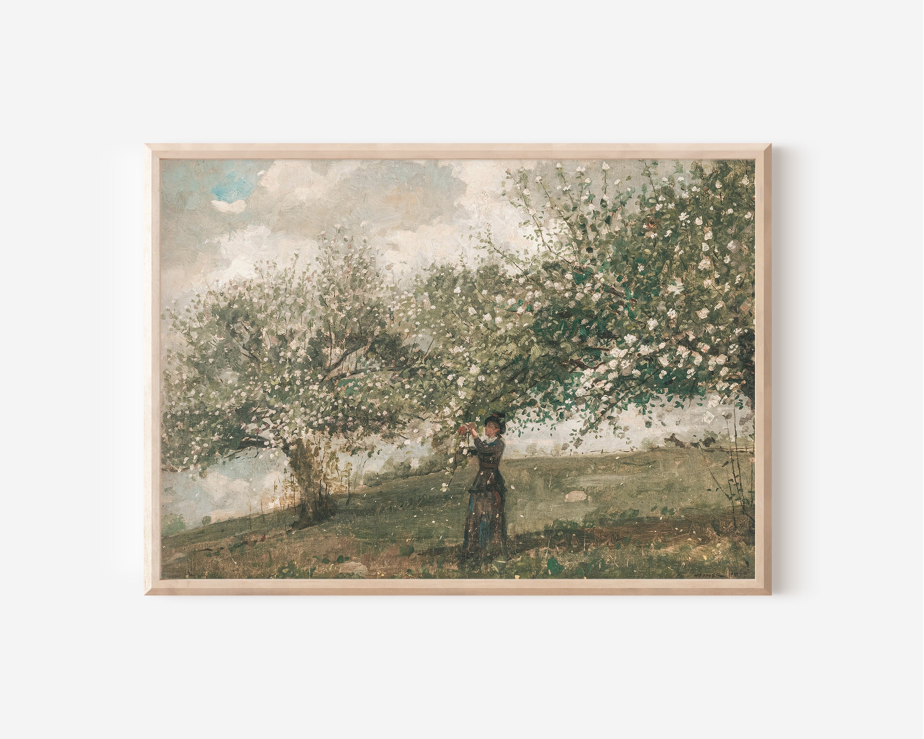 Spring Blossom