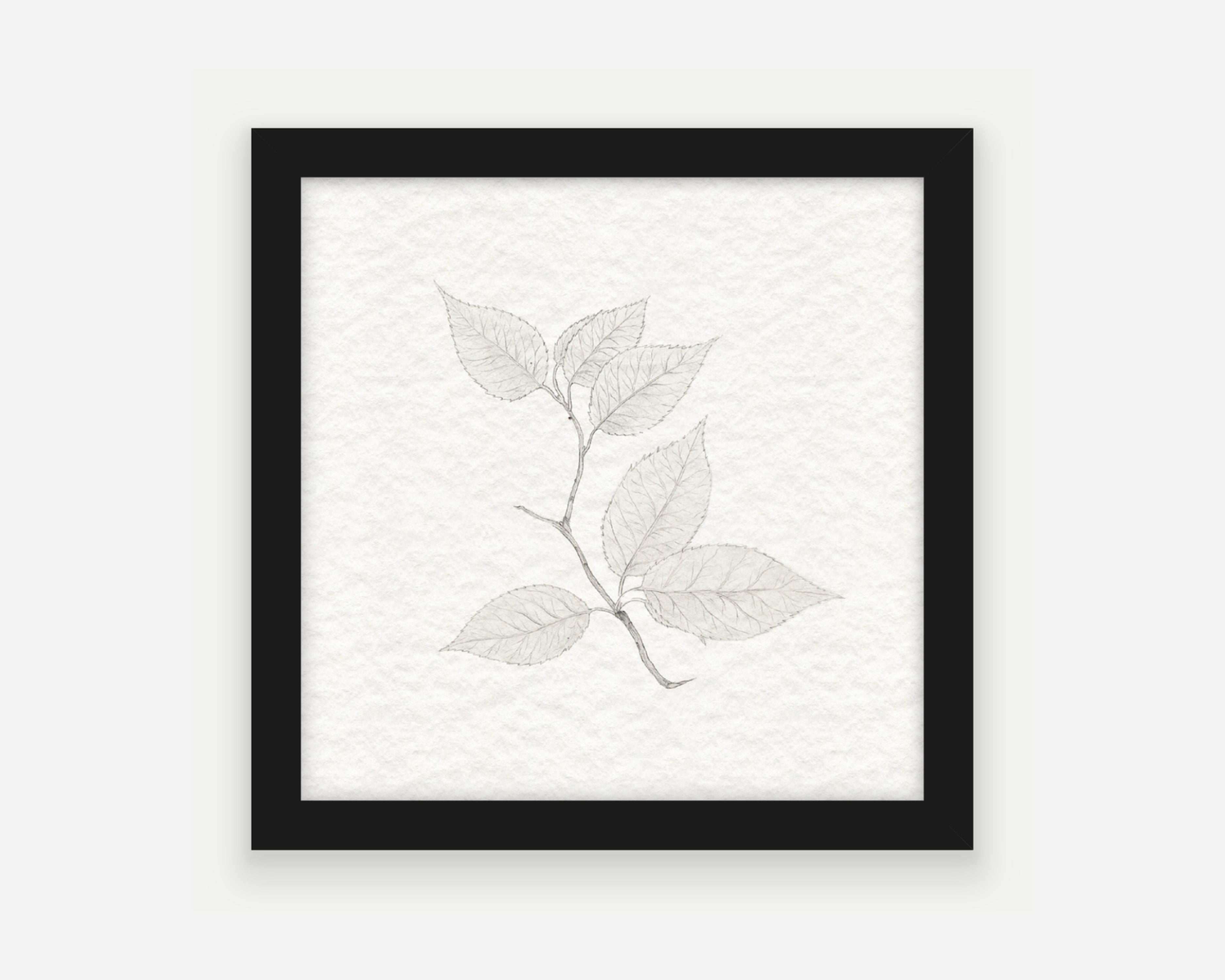 Styled - Cherry Leaves