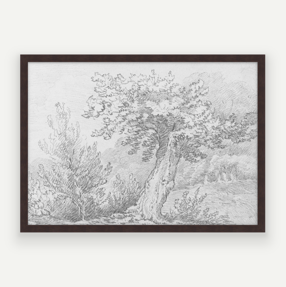 Tree Sketch