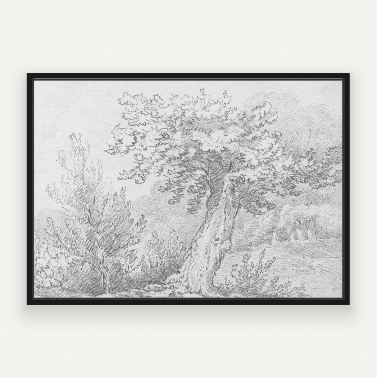 Tree Sketch