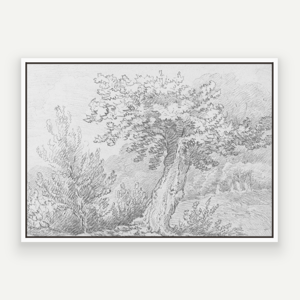 Tree Sketch