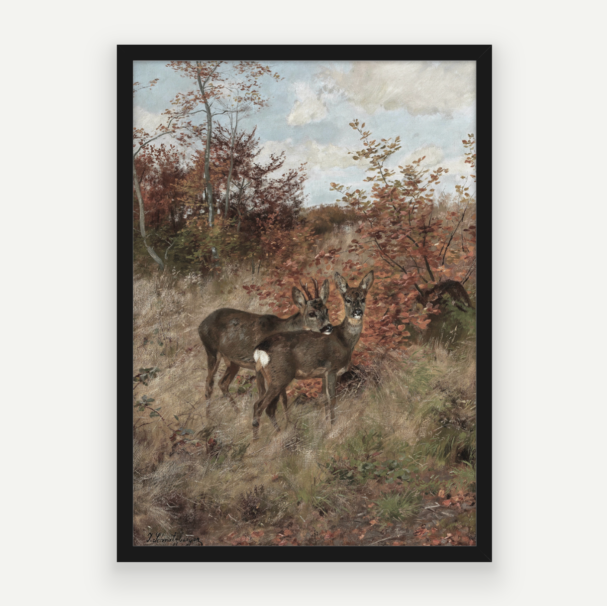Wild Deer