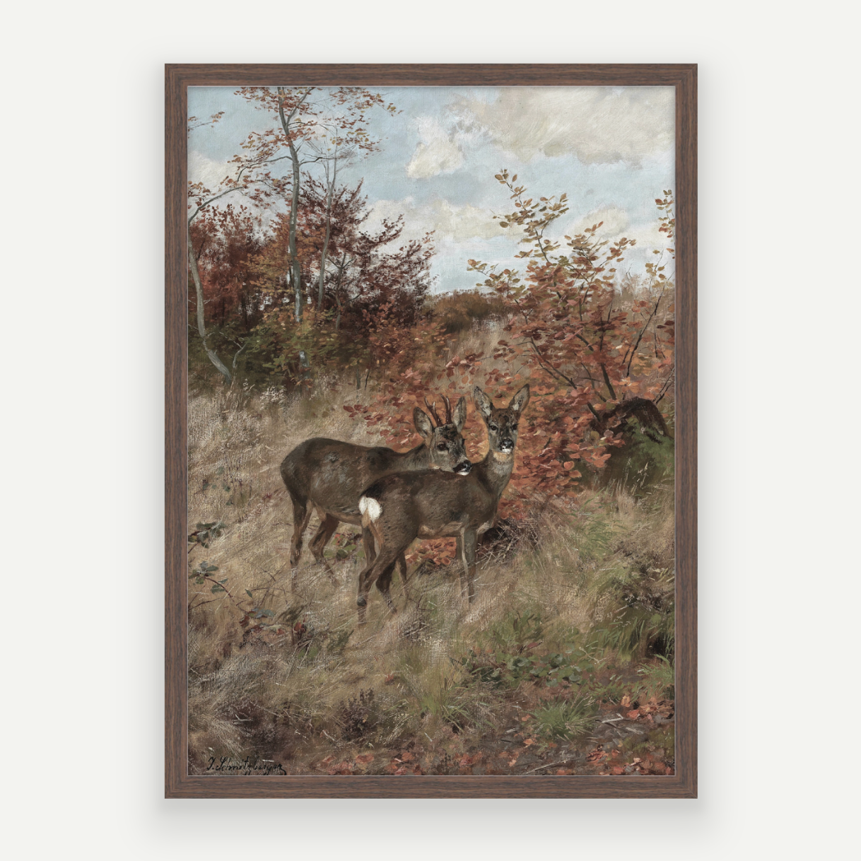 Wild Deer