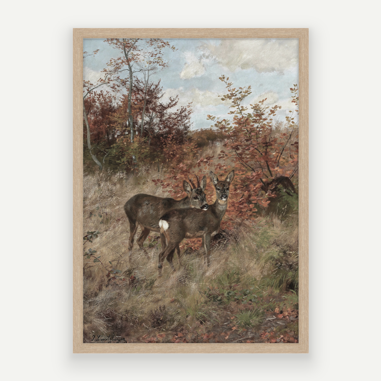 Wild Deer